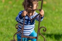 roz_20_elpol-1